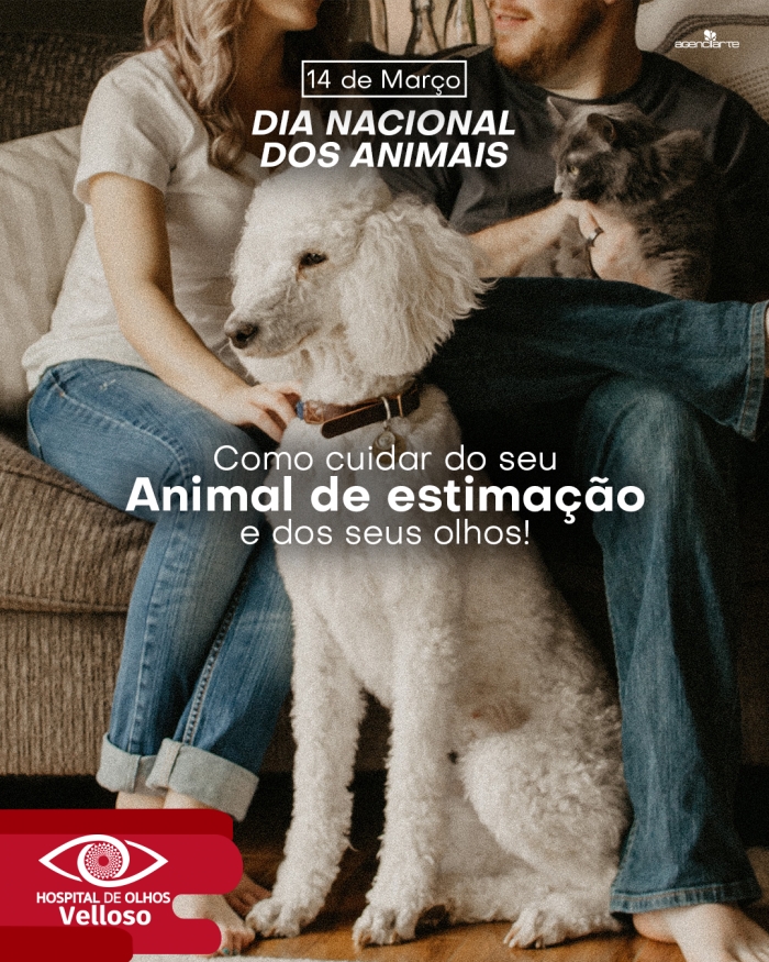 Dia nacional dos Animais